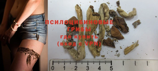 PSILOCYBIN Алзамай