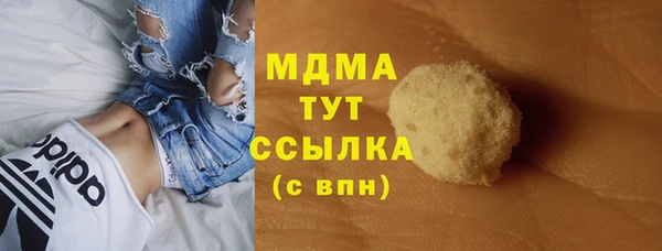 PSILOCYBIN Алзамай