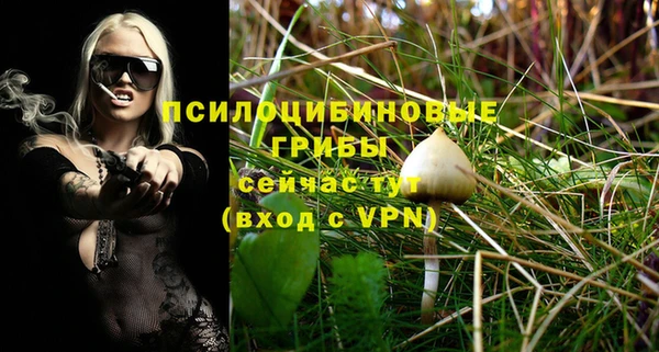 прущие крисы Пересвет