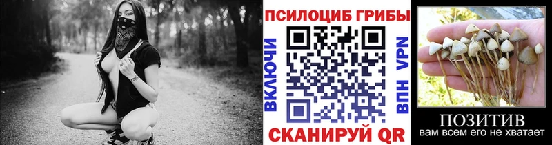 Галлюциногенные грибы Cubensis  Нововоронеж 